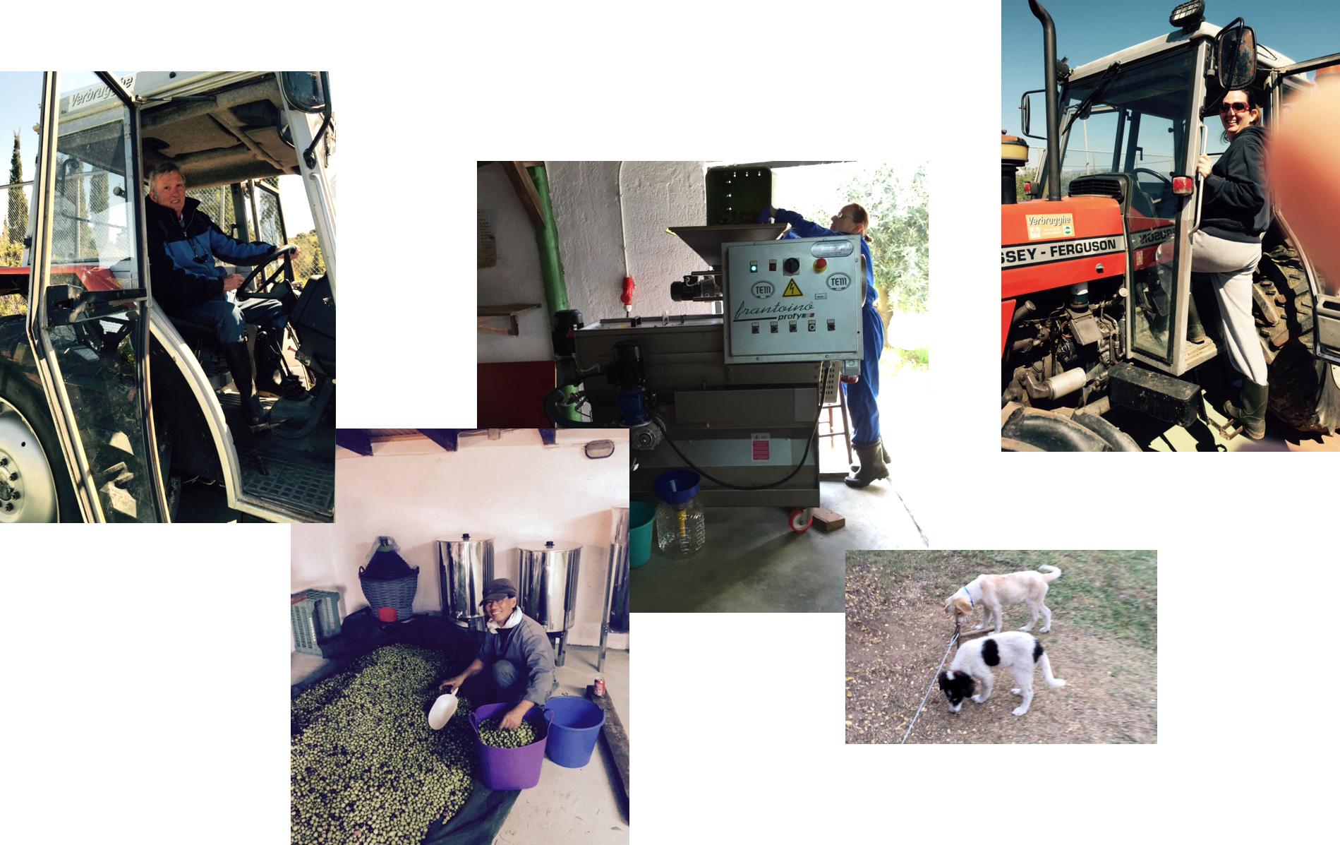 Levantes Family Farm Extra Virgin Olive Oil Greece AG Design Agency