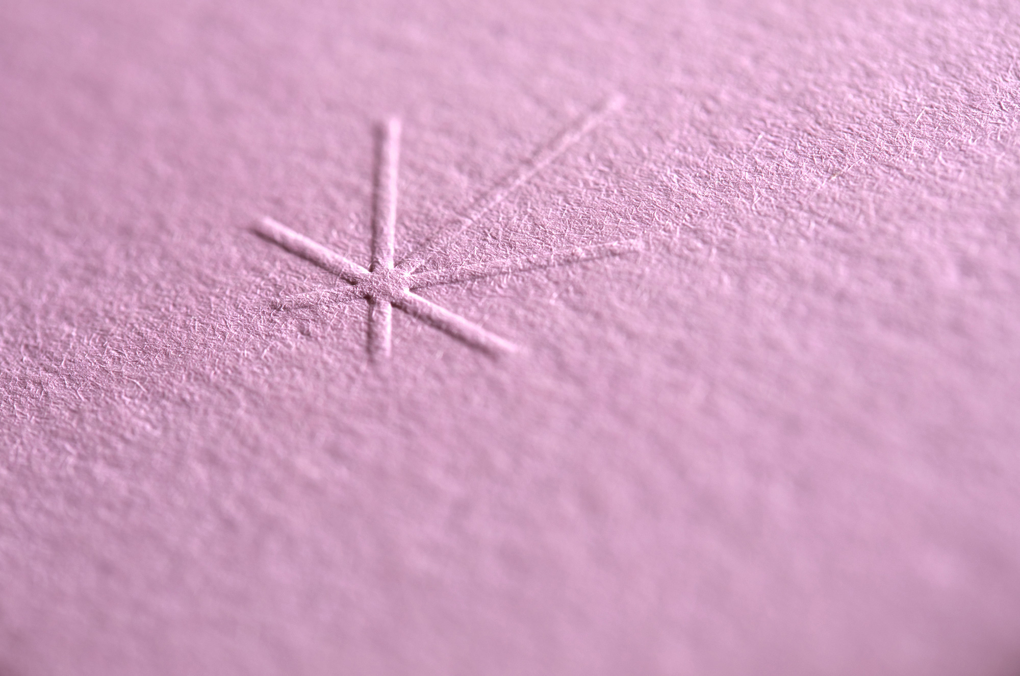 AG Design Agency Ertha CBD Herbal Infusions Branding and Packaging