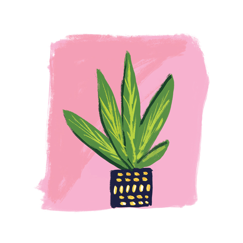 AG Design Agency Ertha CBD Herbal Infusions Branding and Packaging