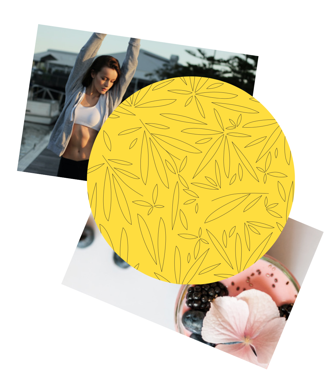 AG Design Agency Ertha CBD Herbal Infusions Branding and Packaging