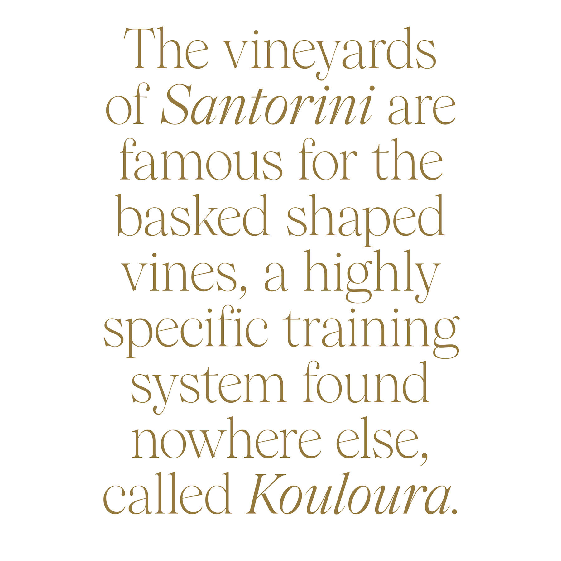 Argyros Estate Santorini AG Design Agency