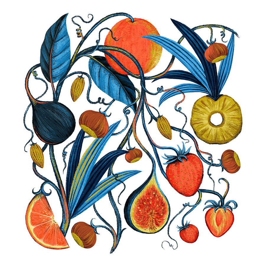 AG Design Agency Gloria Patisserie Packaging Illustration