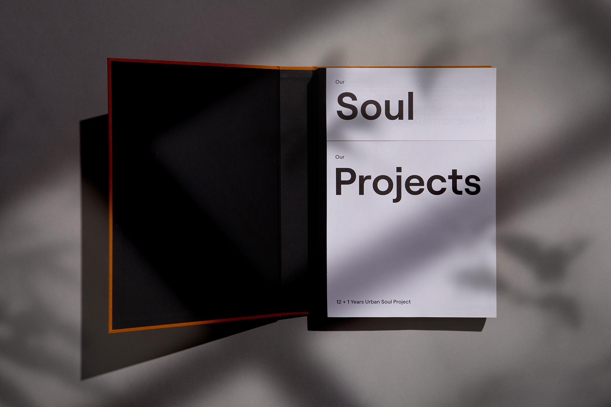 AG Design Agency Urban Soul Project Architects
