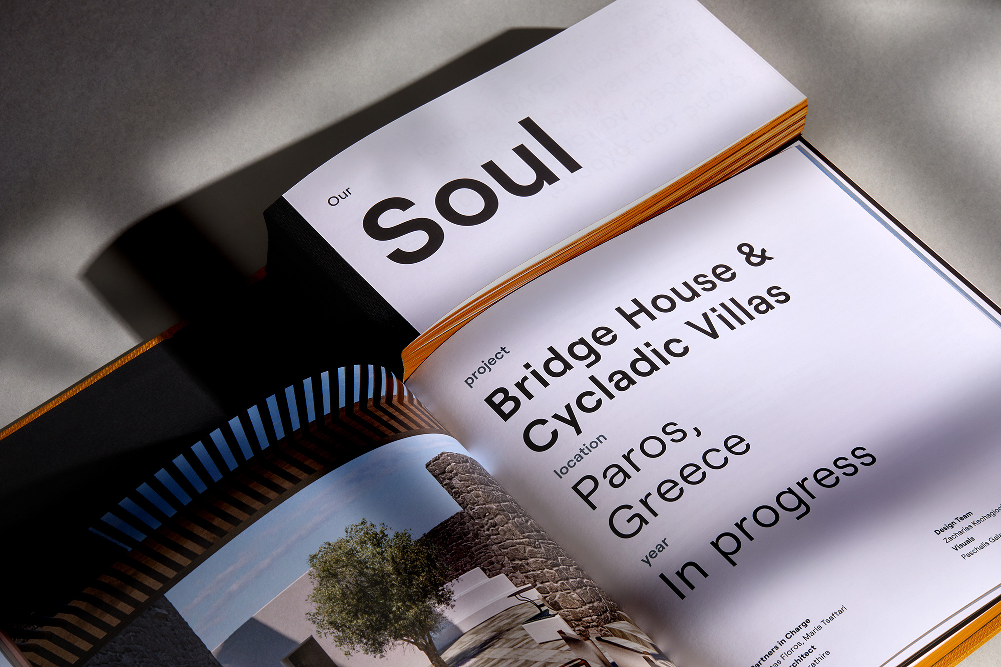 AG Design Agency Urban Soul Project Architects