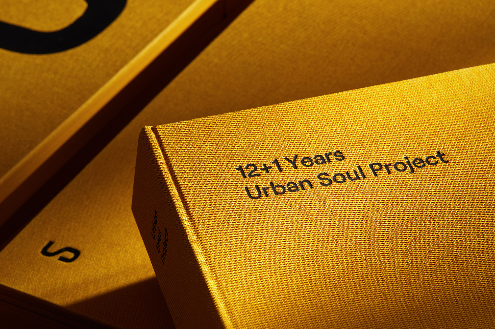 AG Design Agency Urban Soul Project Architects
