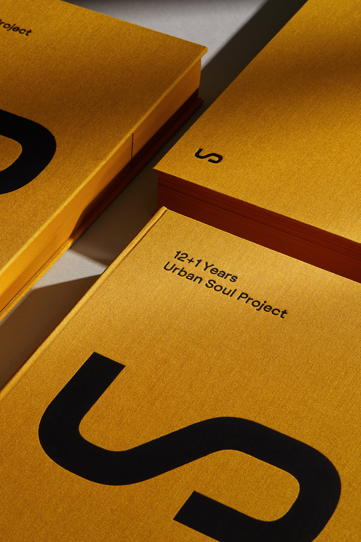 AG Design Agency Urban Soul Project Architects