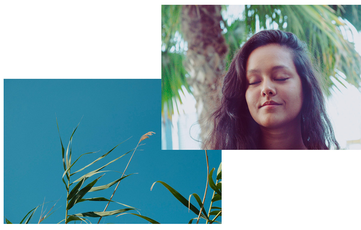 Olealand Residences Crete Avax Development AG Design Agency