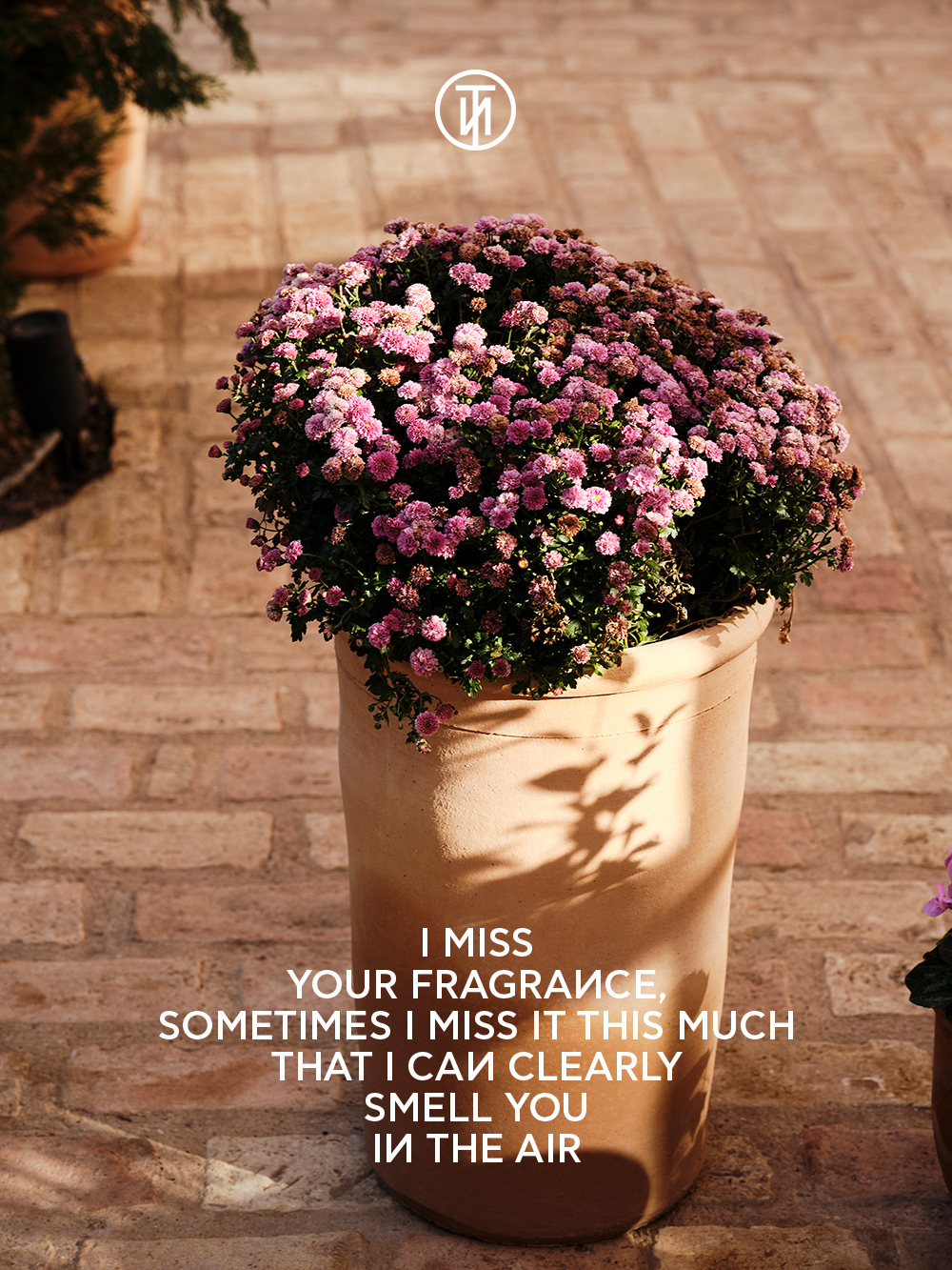 NOT Hotel Athens Technopolis No Ordinary Things AG Design Agency Branding