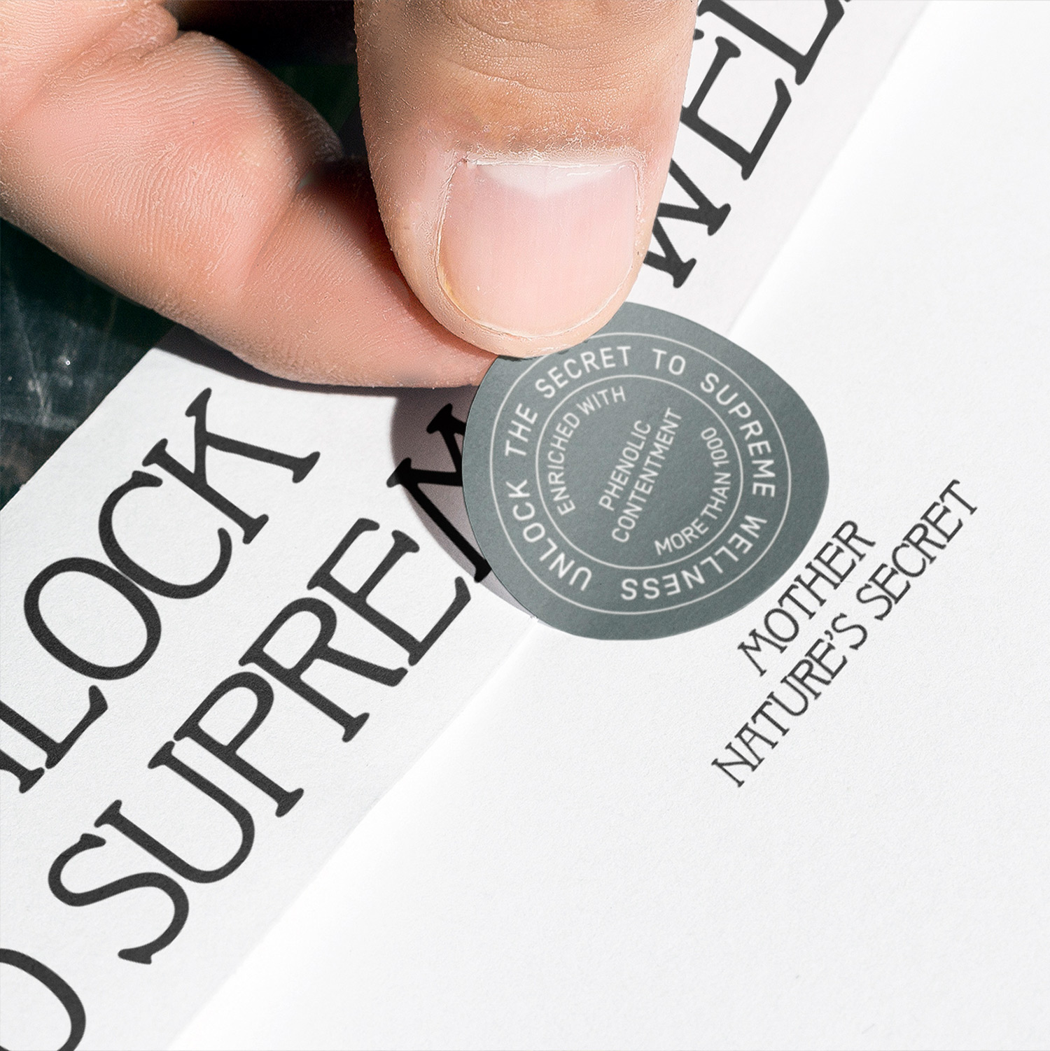 Olea True Extra Virgin Olive Oil based in Los Angeles Greek Roots AG Design Agency