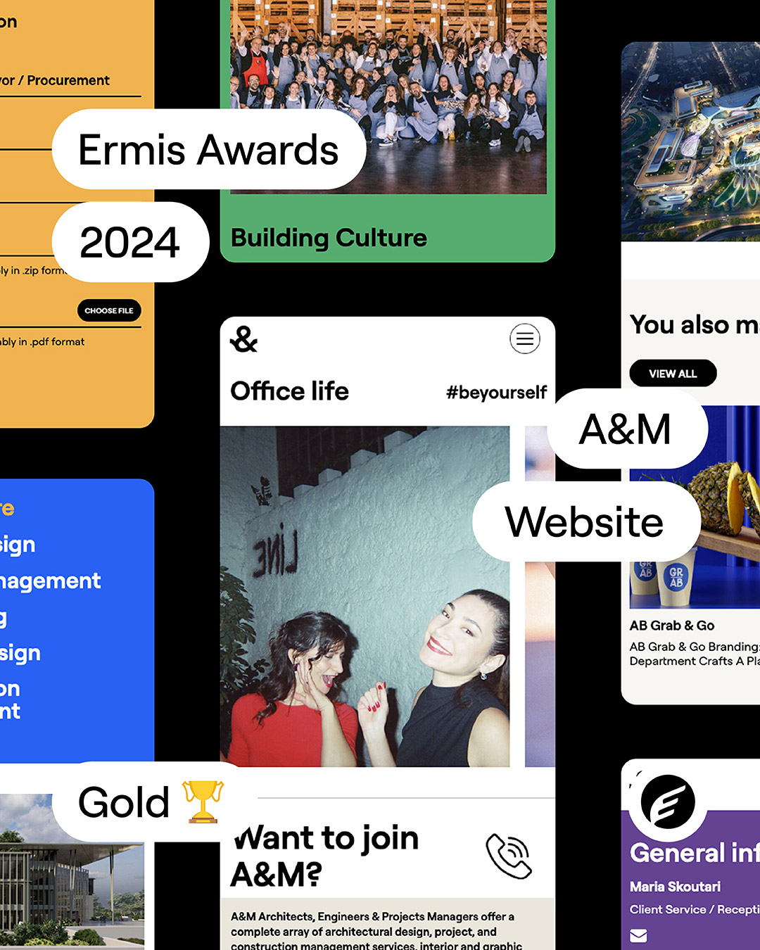 Ermis Awards 2024 Gold Digital Craft A&M Architects AG Design Agency