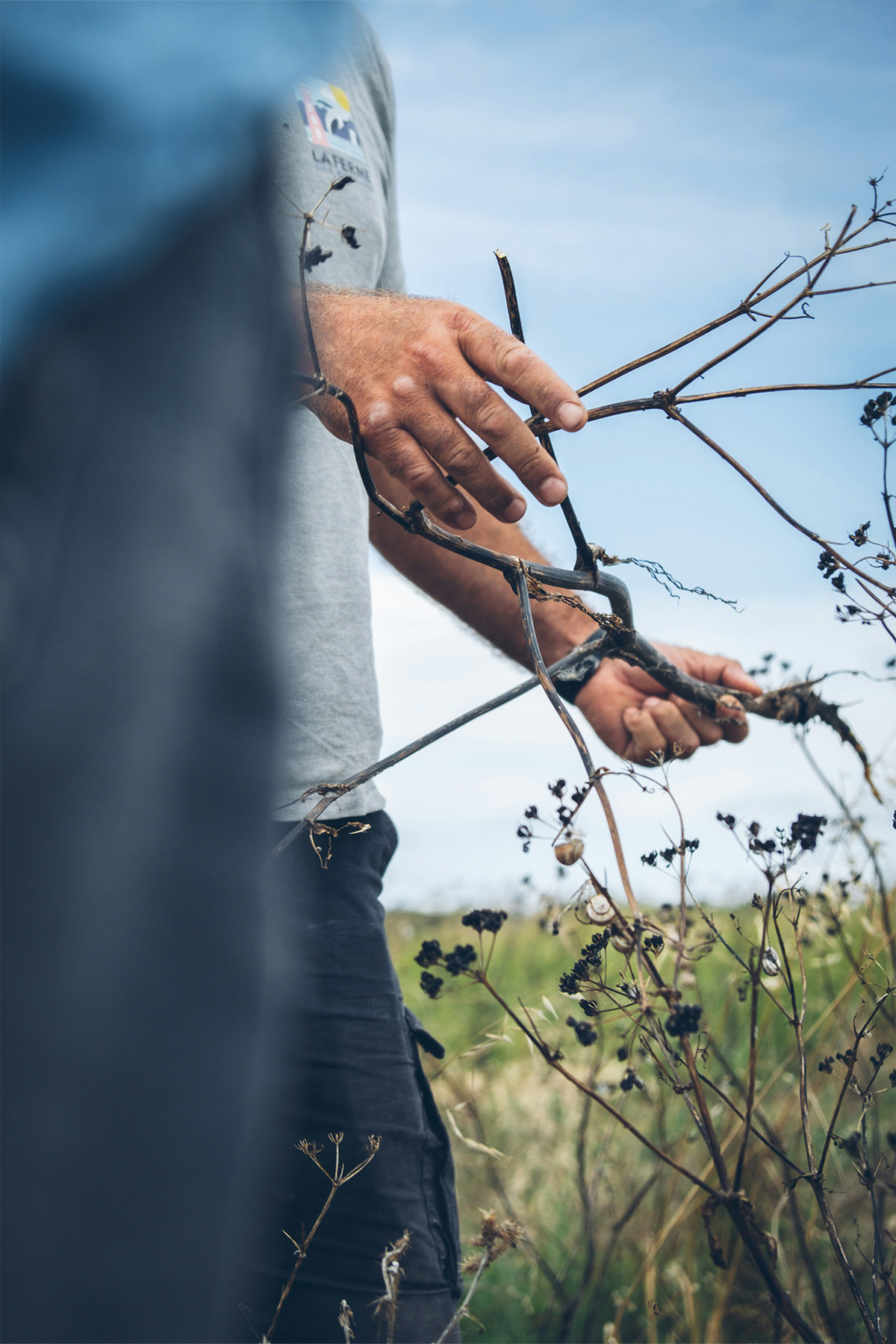 Tsipouro TOU MAKI Tsililis Terres Thes saly Grape Marc Spirit FROM INDIGENOUS GRAPE VARIETIES Ioanna Tsilili