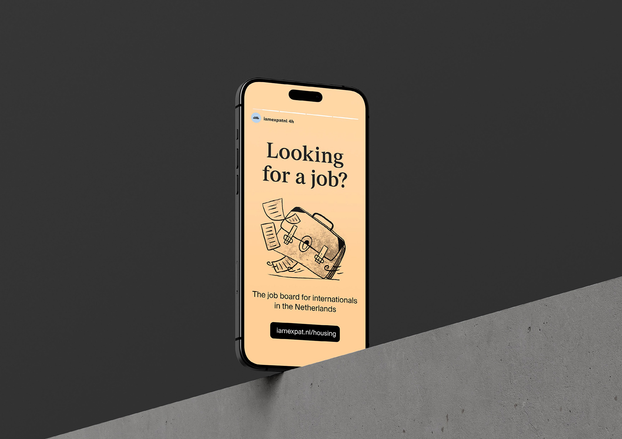 IamExpat-in-the-Netherlands-Switzerland-Germany_Website_AG-Design-Agency