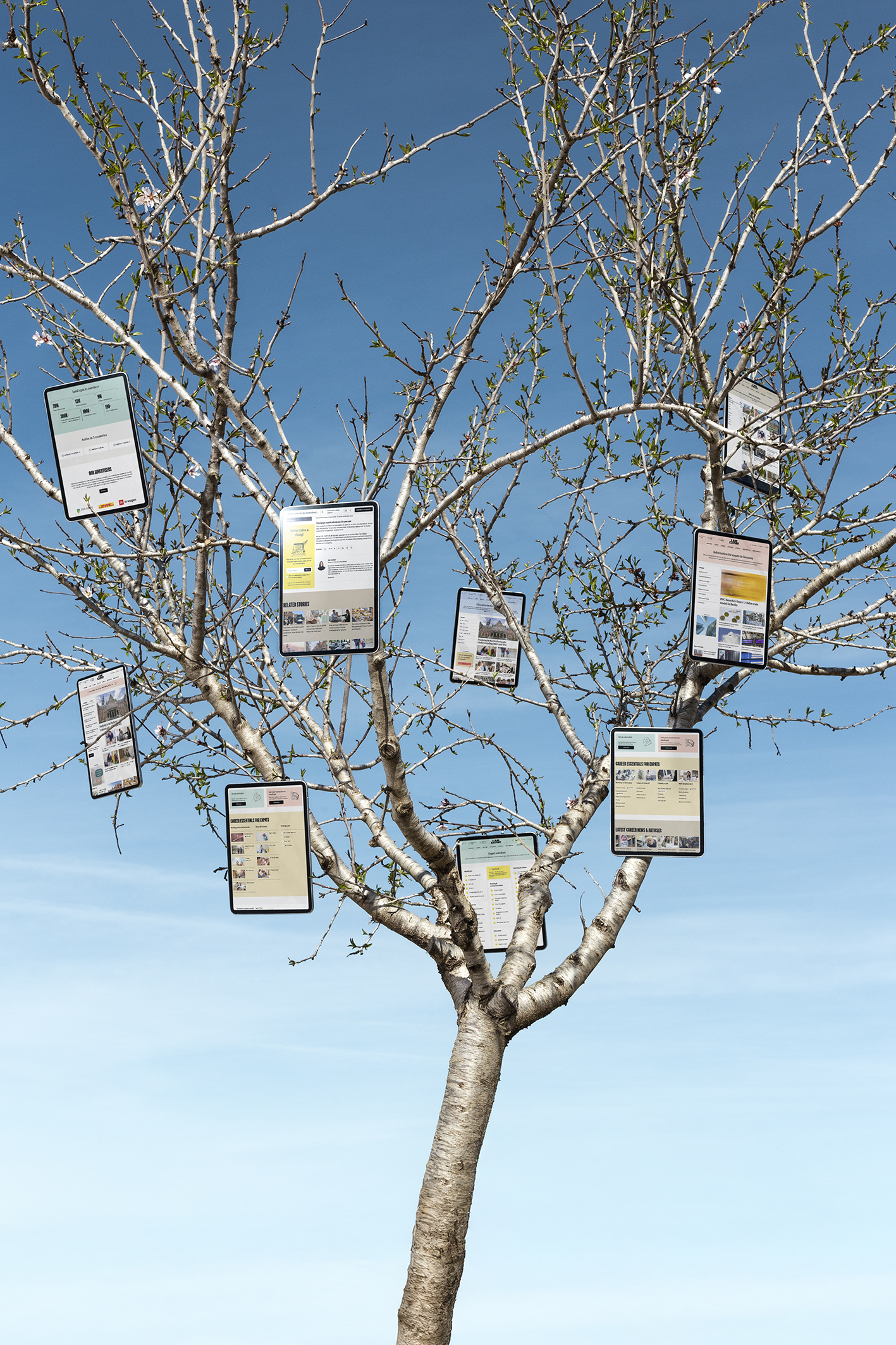 IamExpat-in-the-Netherlands-Switzerland-Germany_Website_AG-Design-Agency